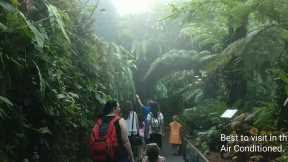 Singapore | Singapore Travel | - https://reveldeck.com 