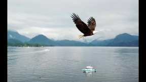 Sitka Alaska | Sitka Alaska Activities | Sitka Alaska Trip - https://reveldeck.com