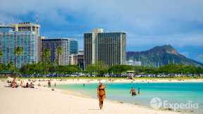 Honolulu | Honolulu Guide | Honolulu - City Video Guide - https://reveldeck.com