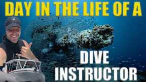 Day In The Life Of A SCUBA DIVE INSTRUCTOR