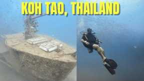 SCUBA DIVING in KOH TAO for 72 Hours 🇹🇭  (Thailand Travel Guide)