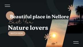 Beauty of Nature Sankranti vlog | Nellore vlogs | @Adventureajay
