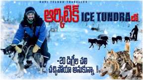 Sledding on the Frozen Tundra | Arctic Polar Regions | Ice Caves North Pole | Ravi Telugu Traveller