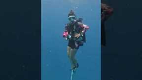 S2:E18 | Relevance of the Scuba Diver swim test, or teaching scuba skills in a classroom is debated