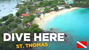 Scuba Diving from Shore (Coki Beach - St. Thomas)