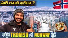 Northern lights in Tromso | How expensive is Norway | Snow filled Arctic | Ravi Telugu Traveller