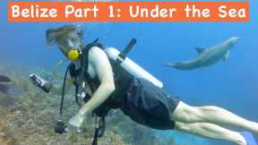 Belize Travel | Scuba Diving | Hol Chan | San Pedro
