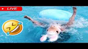 🔴 48 Hours of ENDLESS FAILS and FUNNY MOMENTS 😆😆 The ULTIMATE COMEDY MARATHON! | AFV 2023