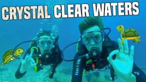 White Island SCUBA DIVING, Camiguin (we saw a turtle!!) | Philippines Travel