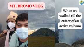 Mount Bromo sunrise tour | Indonesia (East Java) | Active volcano  | Journo Travellers