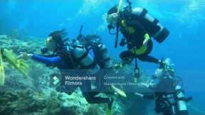 Key Largo Scuba Diving Trip total