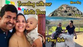 Travelling with our Motta Boss:) California Roadtrip#OneDayTrip #Tamil Vlog #farmvisit #ponyride