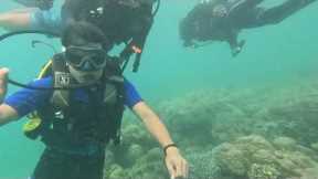 Scuba dive at Andman and Nicobar Island | beginner | Nemo beach  | First scuba diving Experience