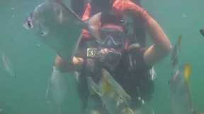 Enjoying Scuba Diving in Goa# Goa Travel Video# Viral Shorts# New Shorts# First Time Scuba Diving