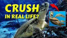 How Many Dives Did It Take To Find Crush? (Scuba Expedition Trip)