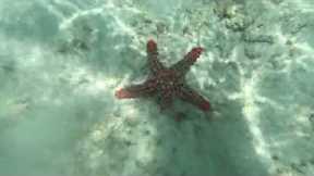 SCUBA DIVING ZANZIBAR | Absolute Africa