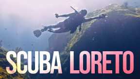 Scuba Diving in Loreto Mexico and the sensational Sea of Cortez