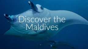 Scuba Diving in the Maldives with Carlu Travel