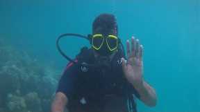 Andaman nicobar island tour part-2 | Havelock island | Beach resort |scuba diving Neil  island#vlog8