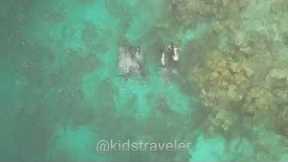 Scuba Diving in Maldives
