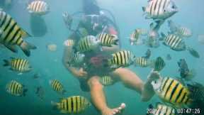 Cheapest Scuba Diving In India !! Just at 1000 INR 😍 MUST TRY
