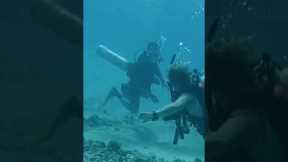This is why I’m not fond of scuba divers #shorts