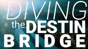 SCUBA DIVING THE DESTIN BRIDGE- ShaneOgoeS deep