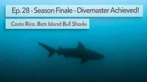 Scuba Diving in Costa Rica, Coco beach / Bat island