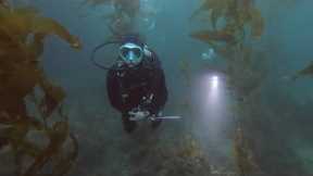 Channel Islands! Scuba diving!
