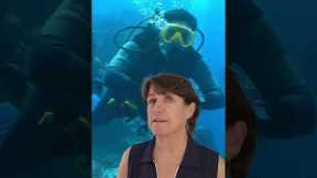 Would You Rather? Scuba Diving Edition - Quick Scuba Travel Quiz
