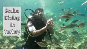 Scuba diving in turkey / turkey scuba diving / turkey scuba diving / turkey marmaris