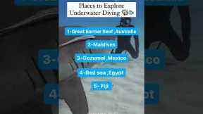 Unveiling the Hidden Beauty: Go Underwater Diving Now! | Luxury Vacations and Holidays