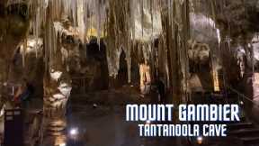 Travel Vlog - A Taste Of The Tantanoola Cave.