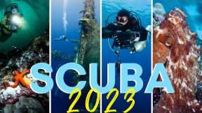 Top 5 Scuba Destinations of 2023