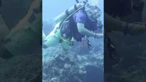 #discoverscuba #tryscuba #ocean #gopro #underwaterdiving #adventure #scubacertification #travel