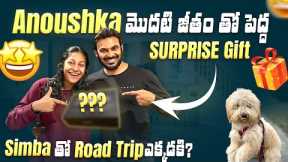 Anou First salary | Surprise gift for Me | USA Road Trip | Meeting Cousins | Ravi Telugu Traveller