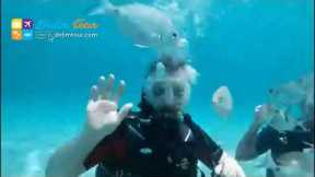 Didim Scuba Diving - Didim Daily Tours / Didimtour