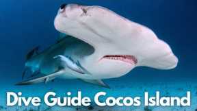 A Scuba Diver Guide To Scuba Diving Cocos Island