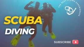 Scuba Diving Experience in Coron, Palawan Philippines