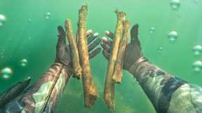 I Found a Human Skull, Arm and Leg Bones Underwater (POLICE CALLED)