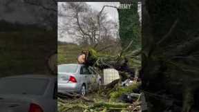 12 Hilarious Road Trips Fails!