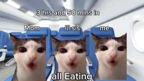 Travel to dubai☁✈ 🍩🐈 #memes #cats #funny