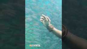 Scuba Diving at Neil Island Andman & Nicobar https://youtu.be/h-x3rWPEgNE