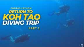 Koh Tao Scuba Diving Trip - Baan's Diving School - 2022 August - Part 1