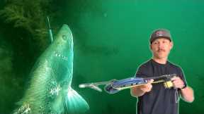 Exploring Winter Waters For Barramundi | Dive Day Reviews And Gear Showcase