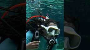 Should SCUBA divers be more worried about Alligators or Sharks? #scubadiving @omgitswicks