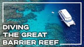 Cairns Barrier Reef Dive Trip - Sharks, Turtles & NEMO! 🐠 (Hero 9 Scuba Diving) | Stoked For Travel