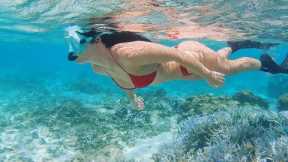 FISHING and DIVING - TROPICAL  LIFESTYLE ADVENTURE (Samoa)