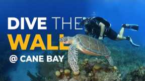 Turtles, Sharks, and 1 Amazing Reef  (Scuba Diving Cane Bay Travel Vlog: St. Croix, USVI)