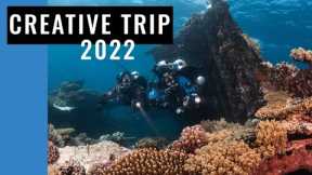 Scuba Diving Red Sea, Egypt - Creative Trip 2022